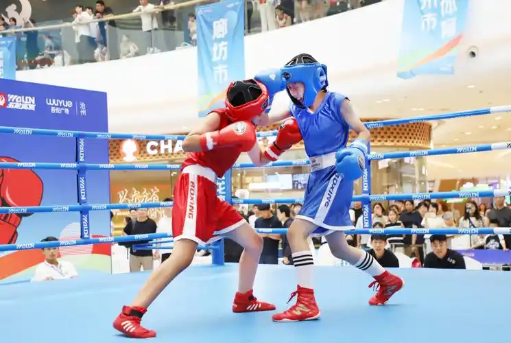 W020251206650180780418.webp W020251206650180780418.webp