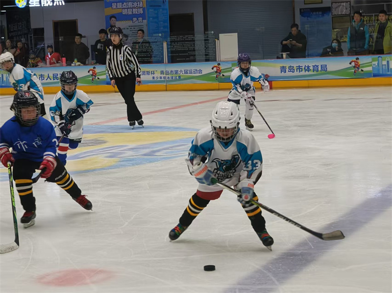 冰球.jpg 冰球.jpg