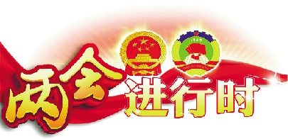 两会进行时.jpg