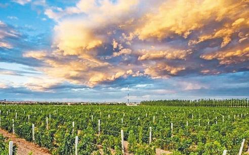 微信截图_20200902072754.jpg 微信截图_20200902072754.jpg