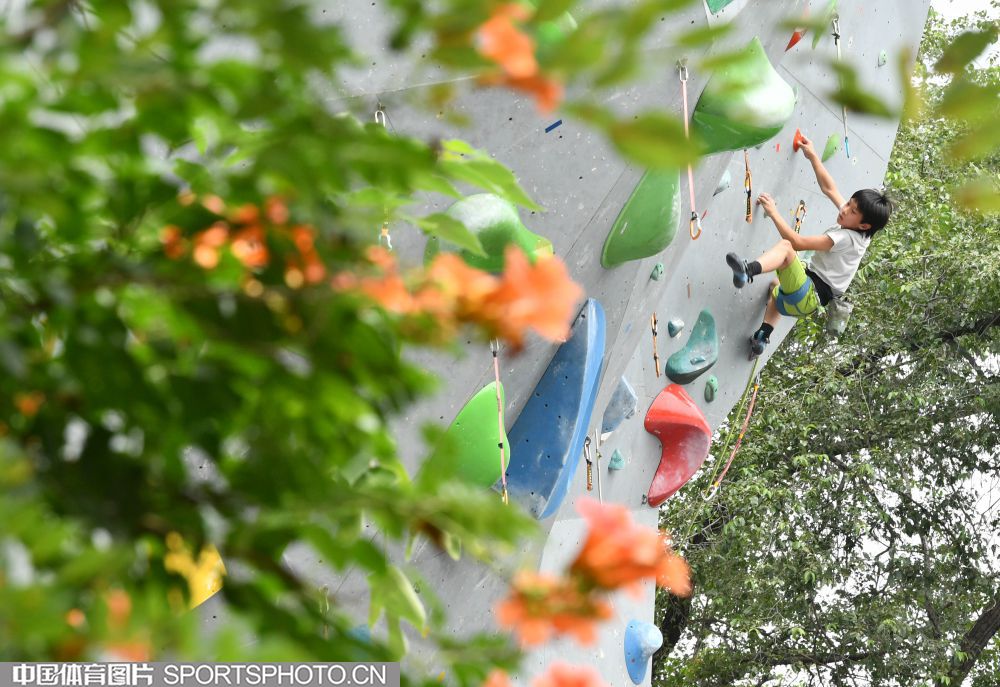 W_29306254_22071914_by.jpg W_29306254_22071914_by.jpg