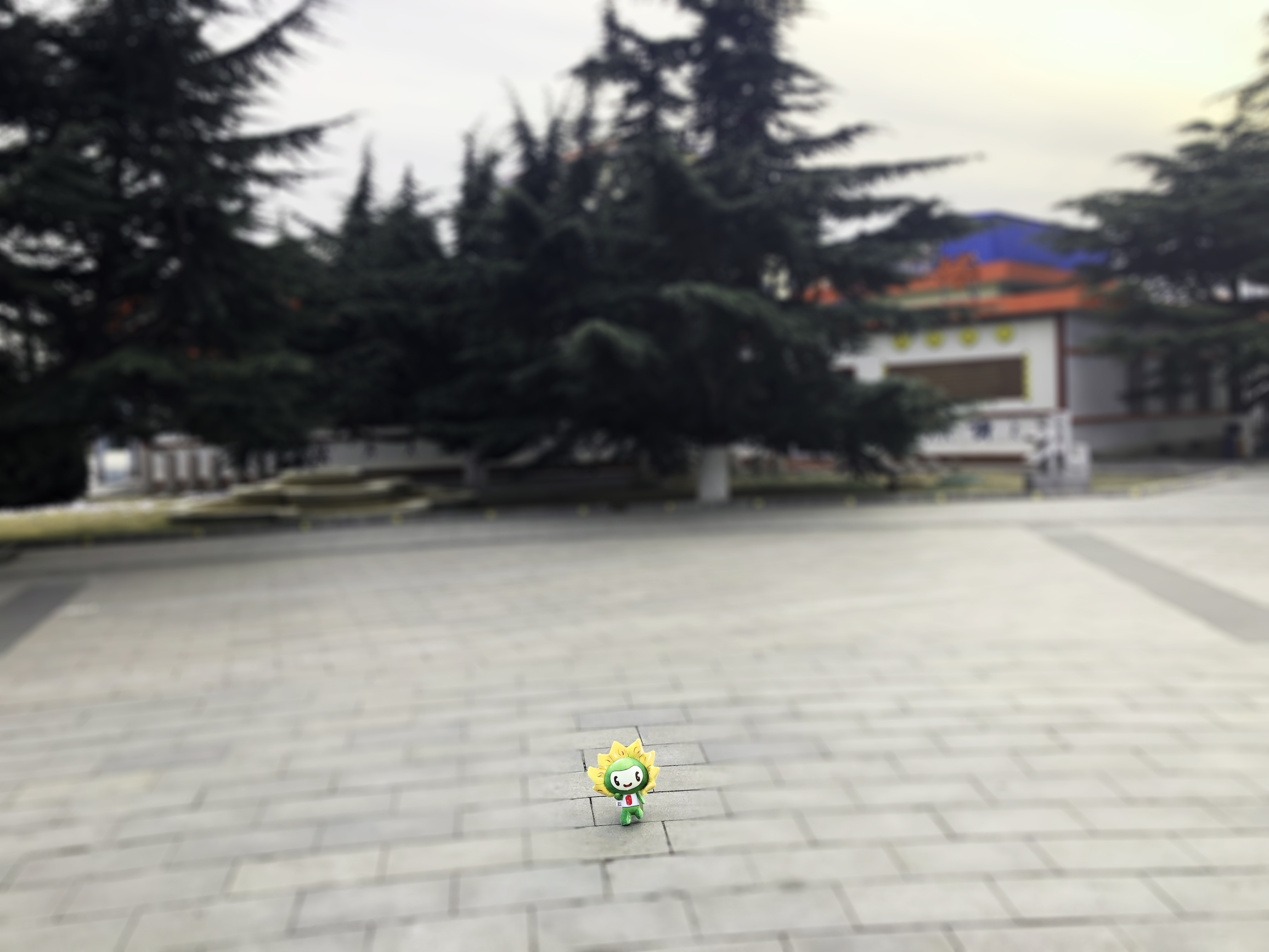 7立夏.jpg