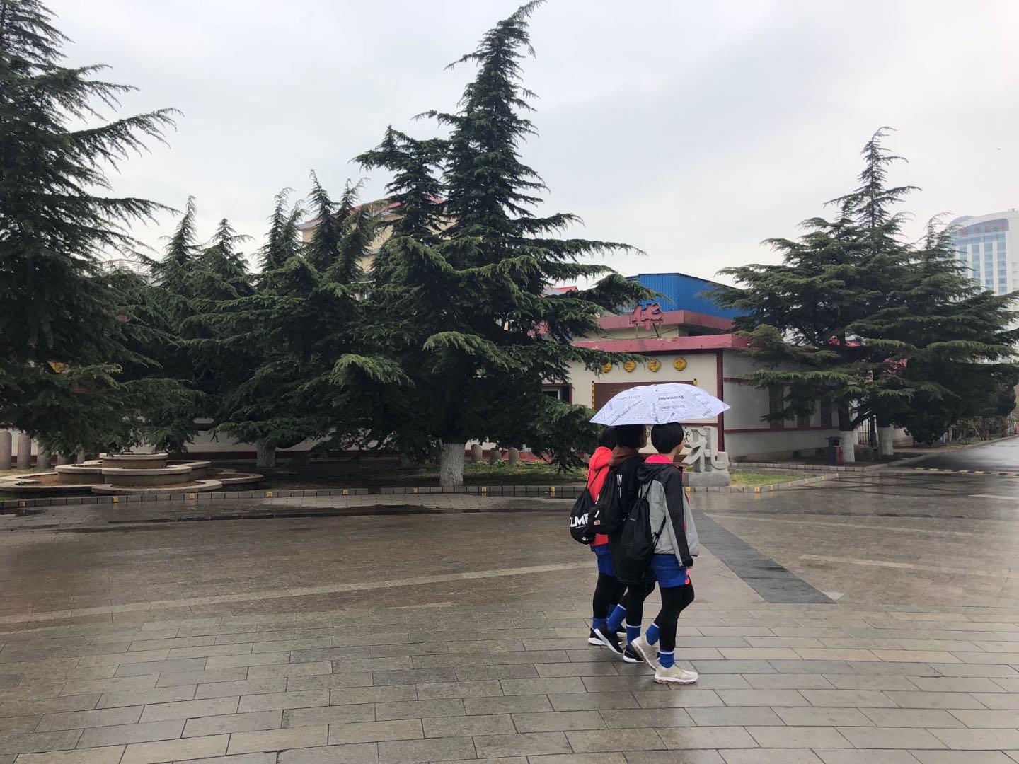6谷雨.jpg