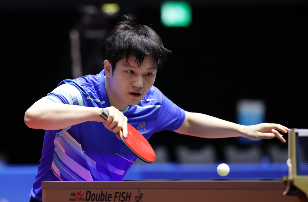 1113-王楚钦2.png 1113-王楚钦2.png