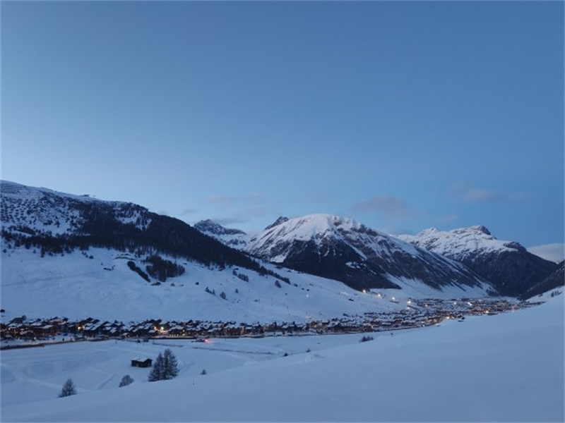 W020260204206800490275_600.jpg W020260204206800490275_600.jpg