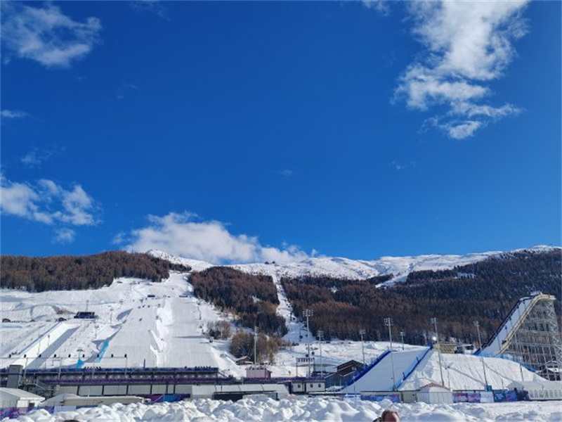 W020260204206800949022_600.jpg W020260204206800949022_600.jpg