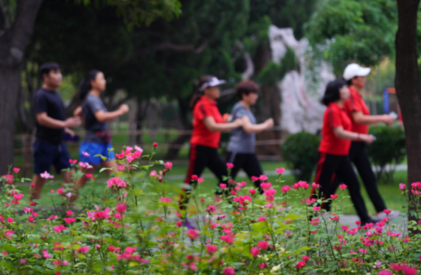 微信截图_20210520074911.png