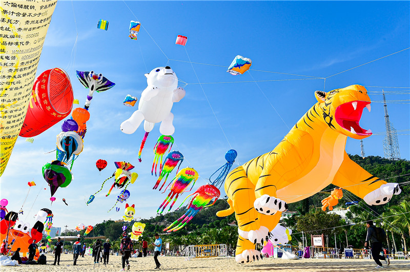 1220-风筝.jpg 1220-风筝.jpg